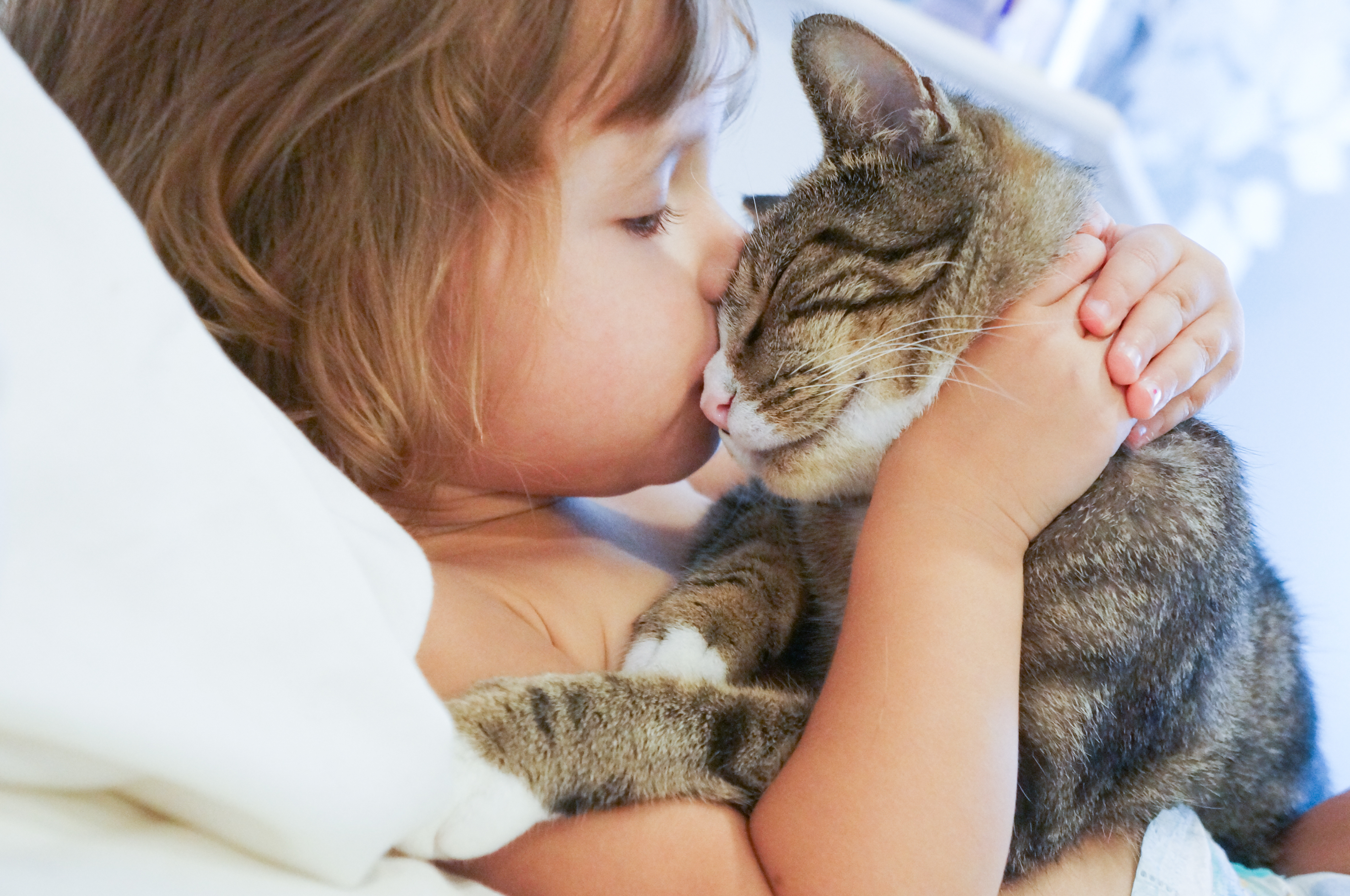 pet_care_stat_2